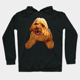 Cute smiling Cavapoo Cavoodle puppy dog - cavalier king charles spaniel poodle, puppy love Hoodie